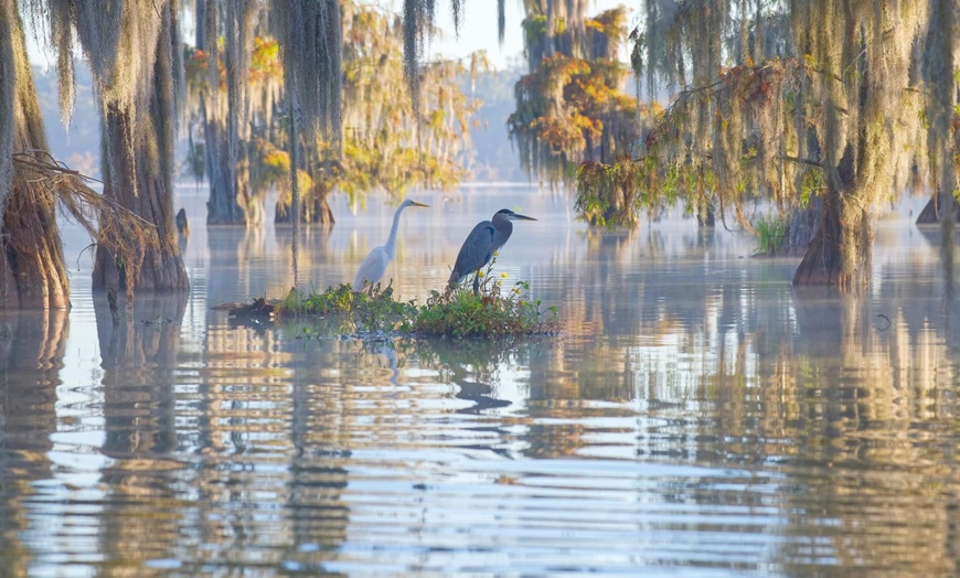 Image 9: ✈ LOUISIANE | Nouvelle Orleans - Les Incontournables de la Louisian...