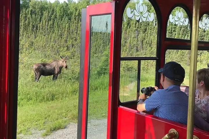 Anchorage Trolley's Deluxe City Tour