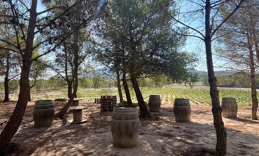 Image 15: Bodega Premium con 7 Catas y Castillo desde Alicante y Benidorm
