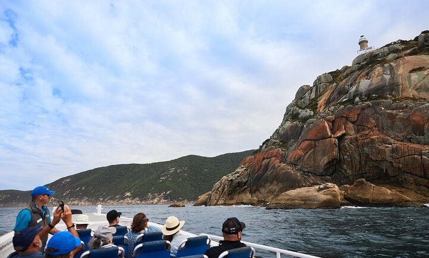 Image 7: Whale Watching Cruise from Tidal River