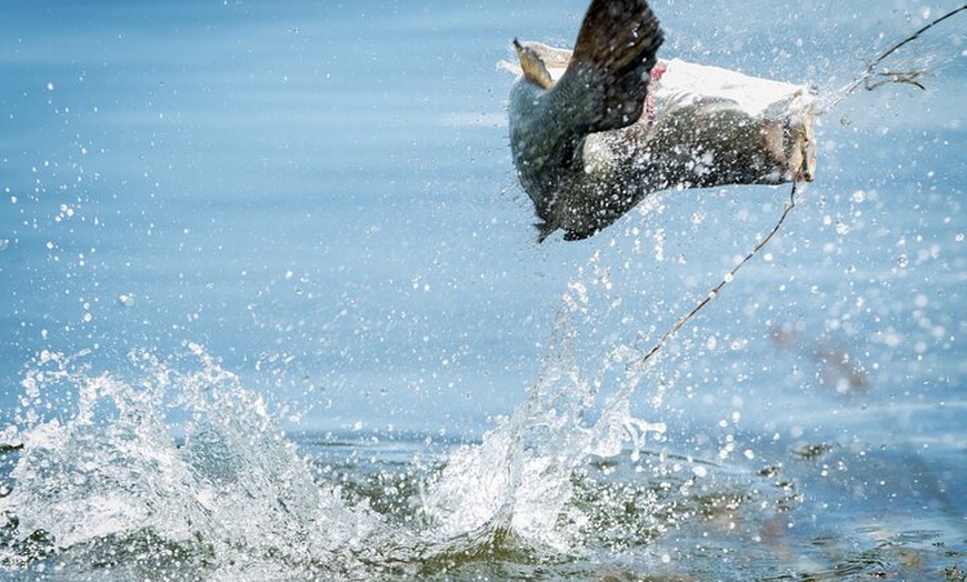 Image 6: Hooked On Barra - Land Based Barramundi Fishing Experience