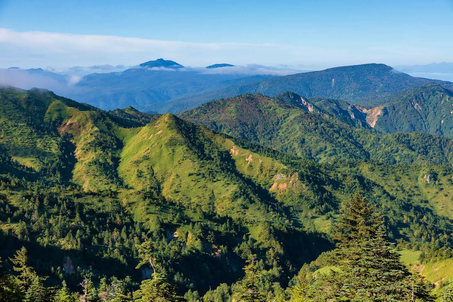 ✈ KANSAI | Osaka - Erlebnisreise Osaka – Kyoto – Nara 3*, 6 Nächte ...