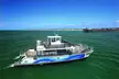 Two-Hour Luxury Whale Watching Tour from Oceanside - Second Medium