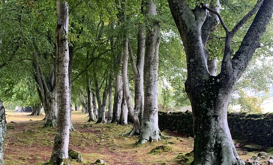 Image 3: Invergordon Loch Ness Castles and Distillery Small Group Tour