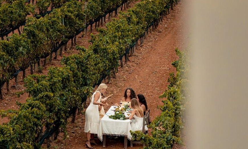 Image 2: Ibiza : Cata privada de vinos y aceites de oliva y Tapas y transporte