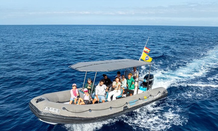 Image 2: Tour Privado 2 horas para ver ballenas y delfines en Tenerife