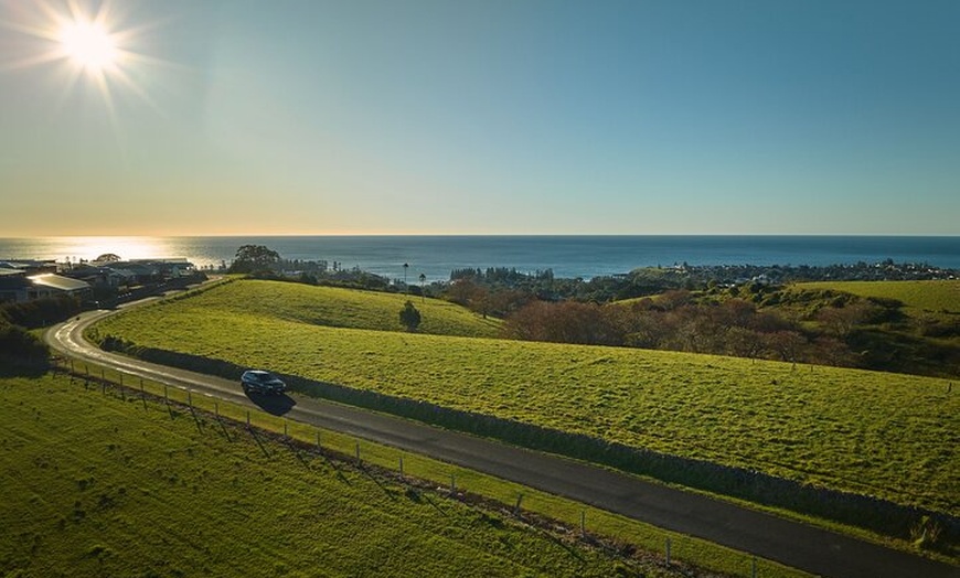 Image 10: Kiama & Kangaroos - Sydney South Coast Escape