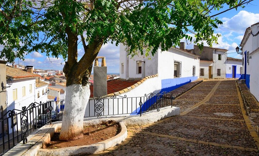 Image 8: Excursión privada de un día a Segovia y La Mancha Molinos de viento