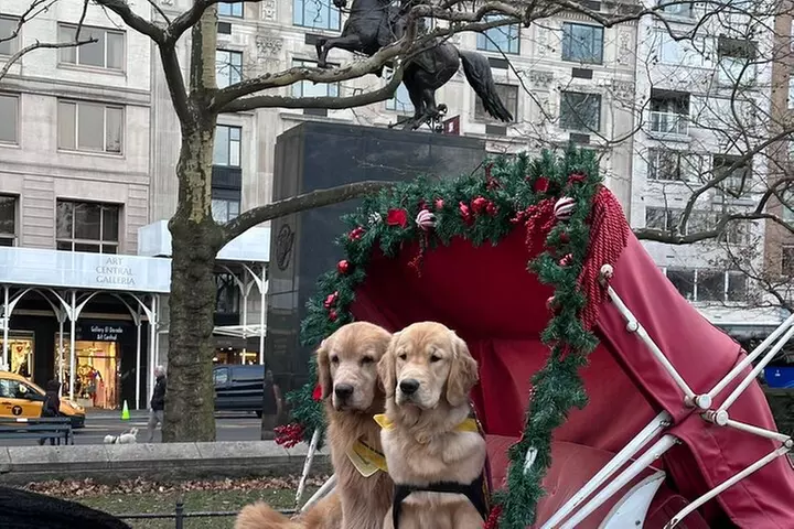 Central Park Daytime Carriage Ride NYC's Timeless Tour - Primary Image