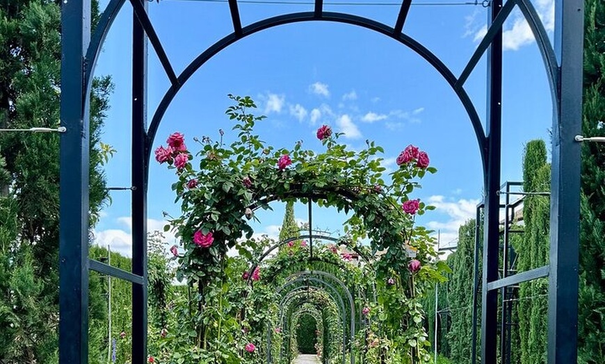Image 3: Entradas de La Alhambra con Palacios Nazaríes +Tren Turístico