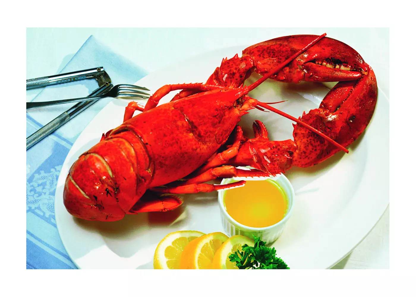 $10 For $20 Worth Of Casual Seafood Dining - Primary Image