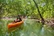 Easy Ride Pedal Kayak Tour Marco Island & Naples (Pedal or Paddle - Second Medium
