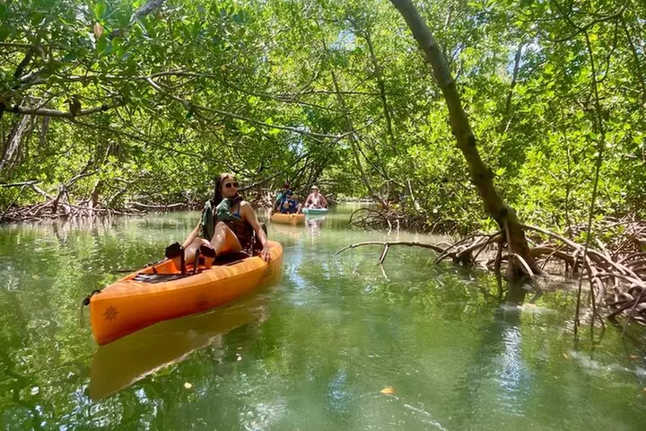 Easy Ride Pedal Kayak Tour Marco Island & Naples (Pedal or Paddle