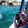 Image 3: Perth Day Tour: Dolphin Cruise, Wildlife Park, and Swan Valley