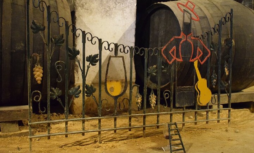 Image 8: Jerez Caballos y Bodegas Tío Pepe desde Estepona y Marbella