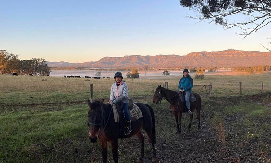 Image 7: Hunter Valley Horse Ride - 90 Minutes -Vineyard & Mountain Views