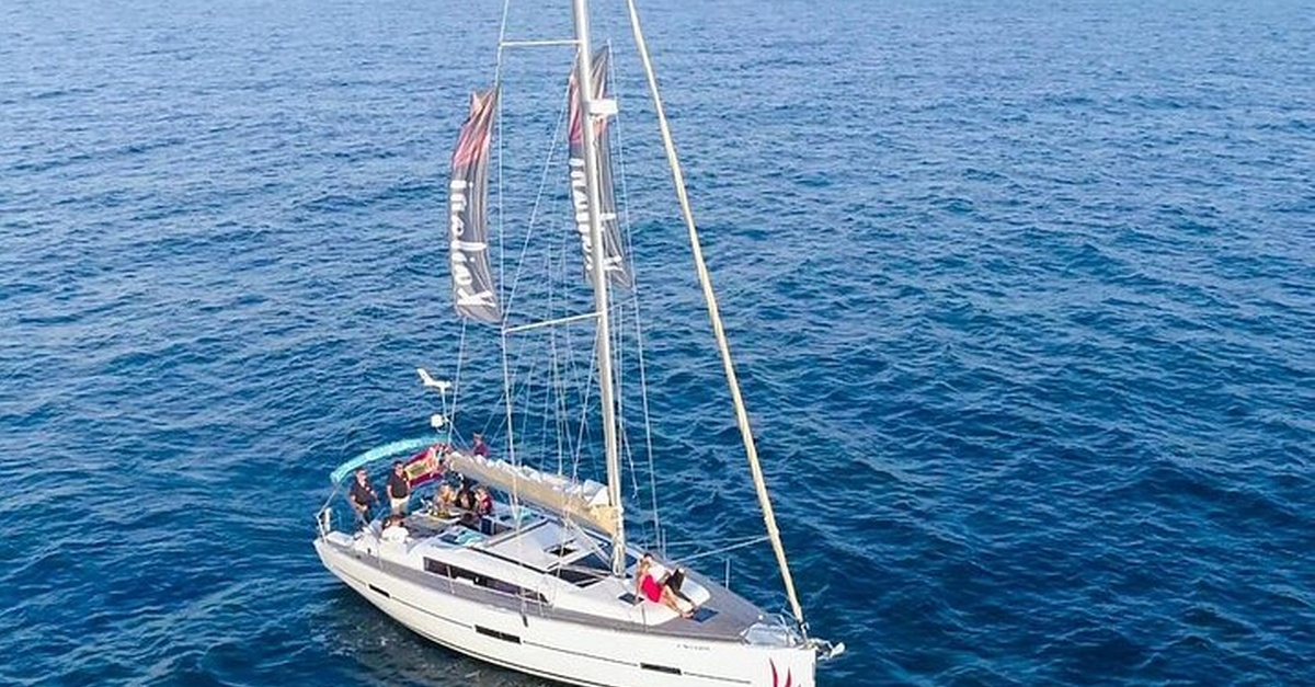 Avistamiento de cetáceos en velero en Costa Adeje, Tenerife