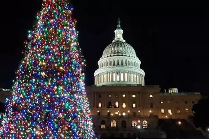 Holiday Lights & Nights City Tour with 10+ Stops, Entry Tickets