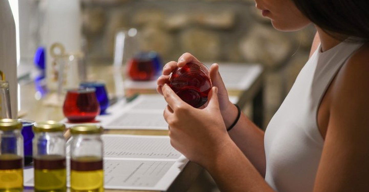Cata de aceite de oliva en Cazorla