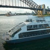 Image 2: Sydney Harbour Glass Boat Lunch Cruise with Buffet