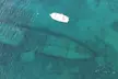 2 Dive Scuba Diving Reef Excursion to Key Largo Marine Sanctuary - Second Medium