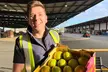 Exclusive Perth Wholesale Market Tour with Insiders - Image 2