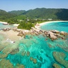 Image 14: ✈ GIAPPONE | Da Tokyo a Osaka - Paradiso Giapponese: Tokyo, Kyoto, ...