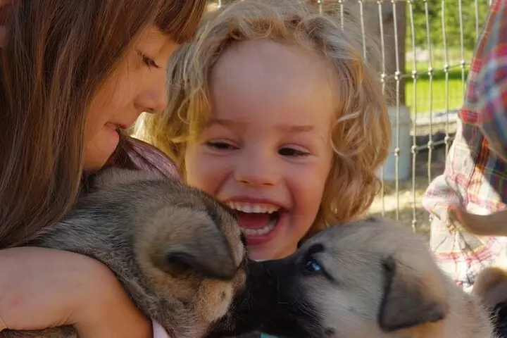 Husky Homestead Tour