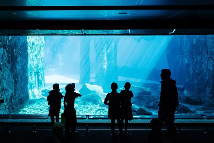 Sydney Taronga Zoo Wild Australia Experience