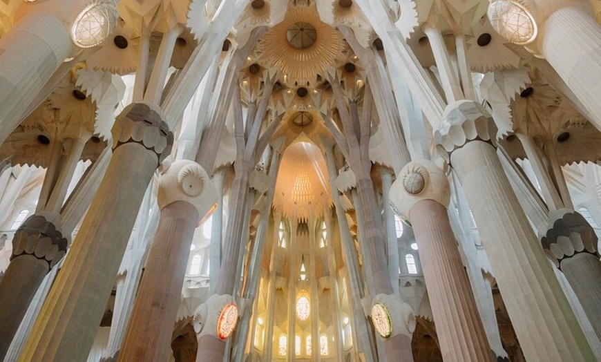 Image 16: Barcelona En un día Sagrada, Park Güell, casco antiguo y teleférico