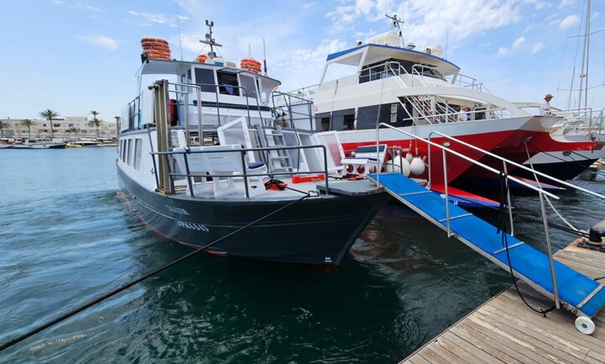 Image 14: Excursión de un día a Illetas en Formentera con Paella y Bebida