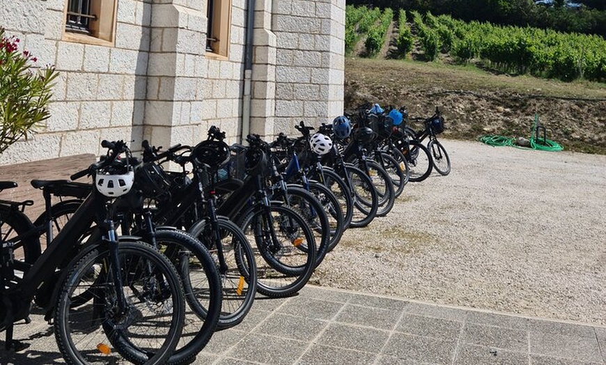 Image 6: E-bike tour à la découverte des vignobles de Bellet