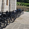 Image 6: E-bike tour à la découverte des vignobles de Bellet