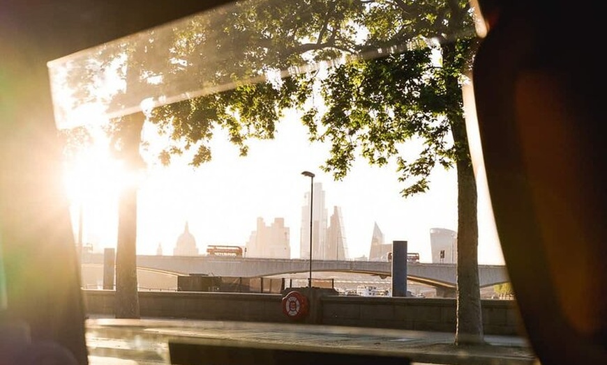 Image 6: Big Sights Tour - Iconic London Taxi Tour