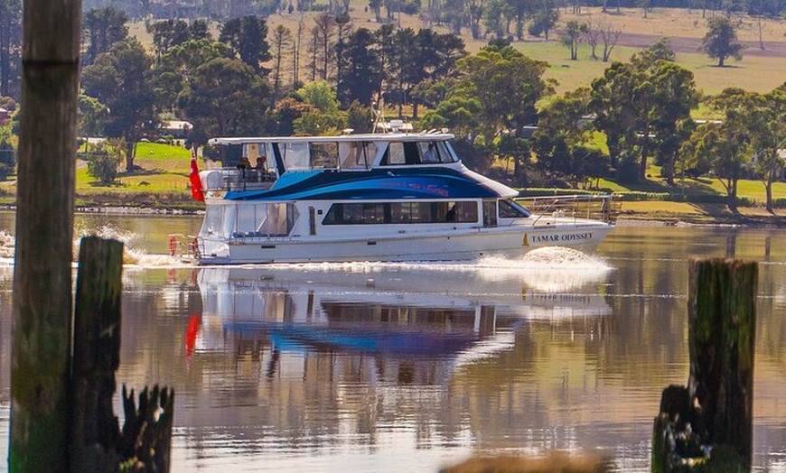 Image 8: 2.50 hour Afternoon Discovery Cruise including Cataract Gorge depar...