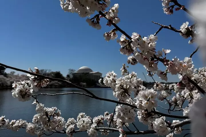 Small Group Washington DC Tour with Changing of the Guard