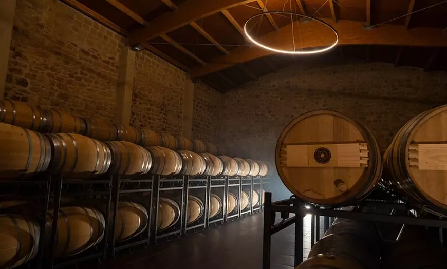 Image 4: Visita a bodega con Cata de 3 Vinos y Aperitivos