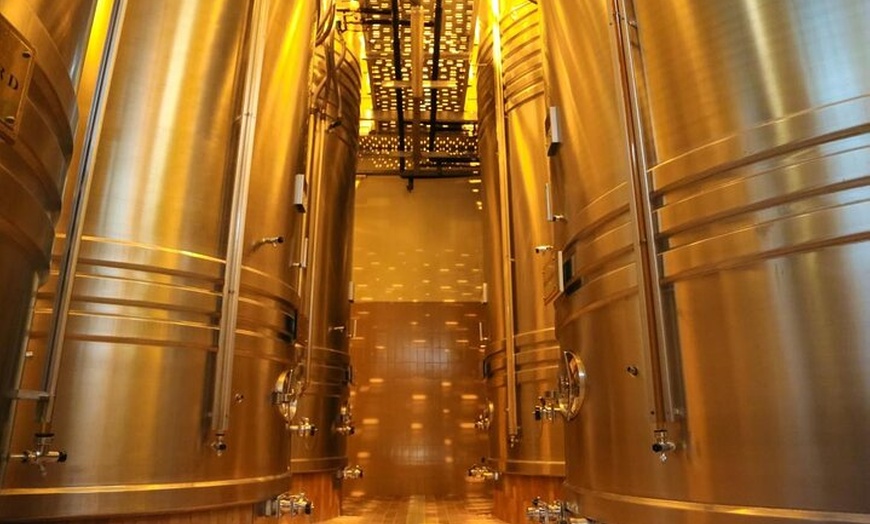 Image 3: Visite privée de dégustation de vins à Chablis Bourgogne au départ ...