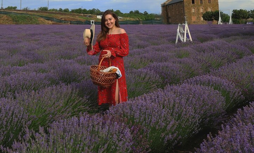 Image 3: Aix en Provence : Champs de Lavande & Usine L'Occitane