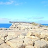 Image 10: 2 Day Tour Busselton Jetty, Ngilgi Cave to Valley of the Giants