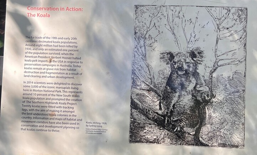 Image 34: Sydney South Coast and Highlands Private Tour