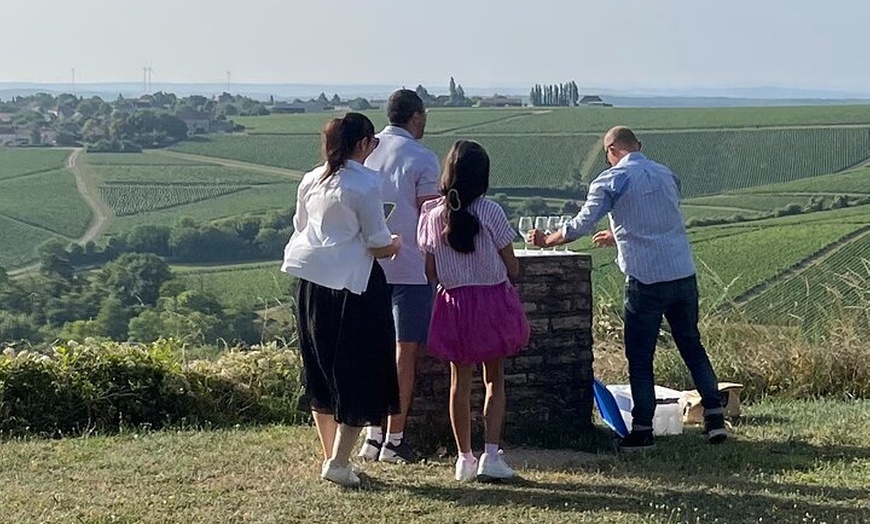 Image 3: Excursion privée d'une journée à Chablis et aux vins de Bourgogne a...