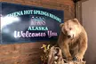 Northern Lights & Chena Hot Springs Tour - Second Medium