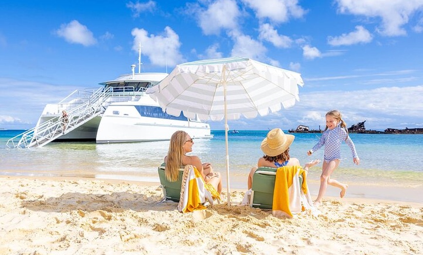 Image 2: Dolphin & Tangalooma Wrecks Snorkel Cruise & Lunch - Brisbane