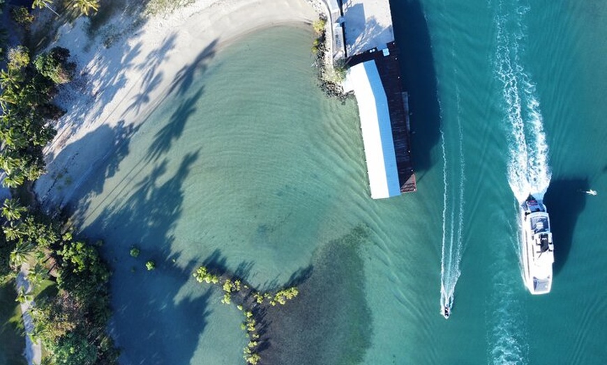 Image 8: Private Guided Tour in Port Douglas and Surrounds