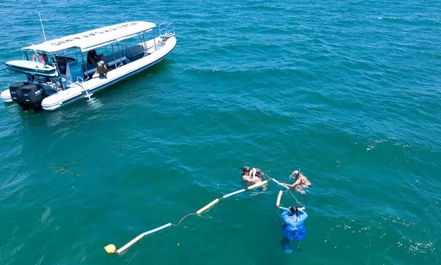 Image 2: Social Snorkel