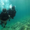 Image 13: Experiencia de buceo con instructor SSI en Cap Formentor