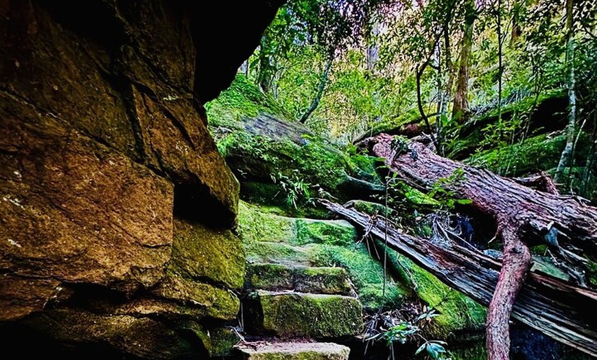 Image 4: Trek Shoot and Soothe Hiking Tour from Springwood Blue Mountains