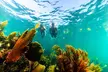 Private Snorkeling and Tequila Tasting in Puerto Morelos - Second Medium