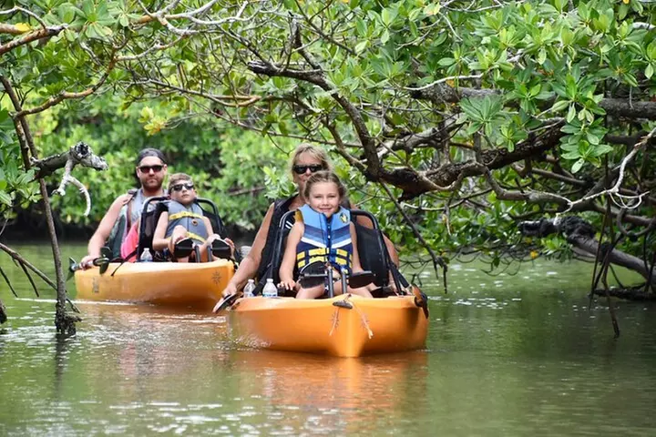Easy Ride Pedal Kayak Tour Marco Island & Naples (Pedal or Paddle